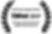 Offiicial-Selectioin (1).png