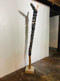 Burnt Tree 