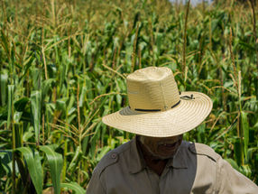 Sembrar sin destruir: agricultura regenerativa y el futuro del campo mexicano.