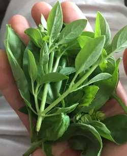 gallery-7-e1565648502847