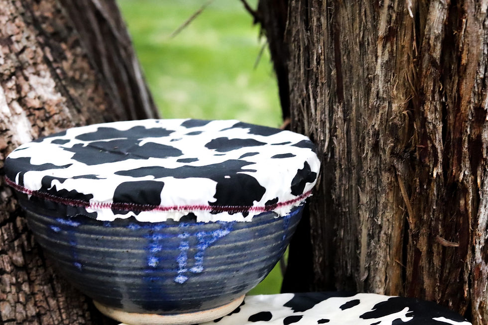 Thumbnail: beeswax bowl covers