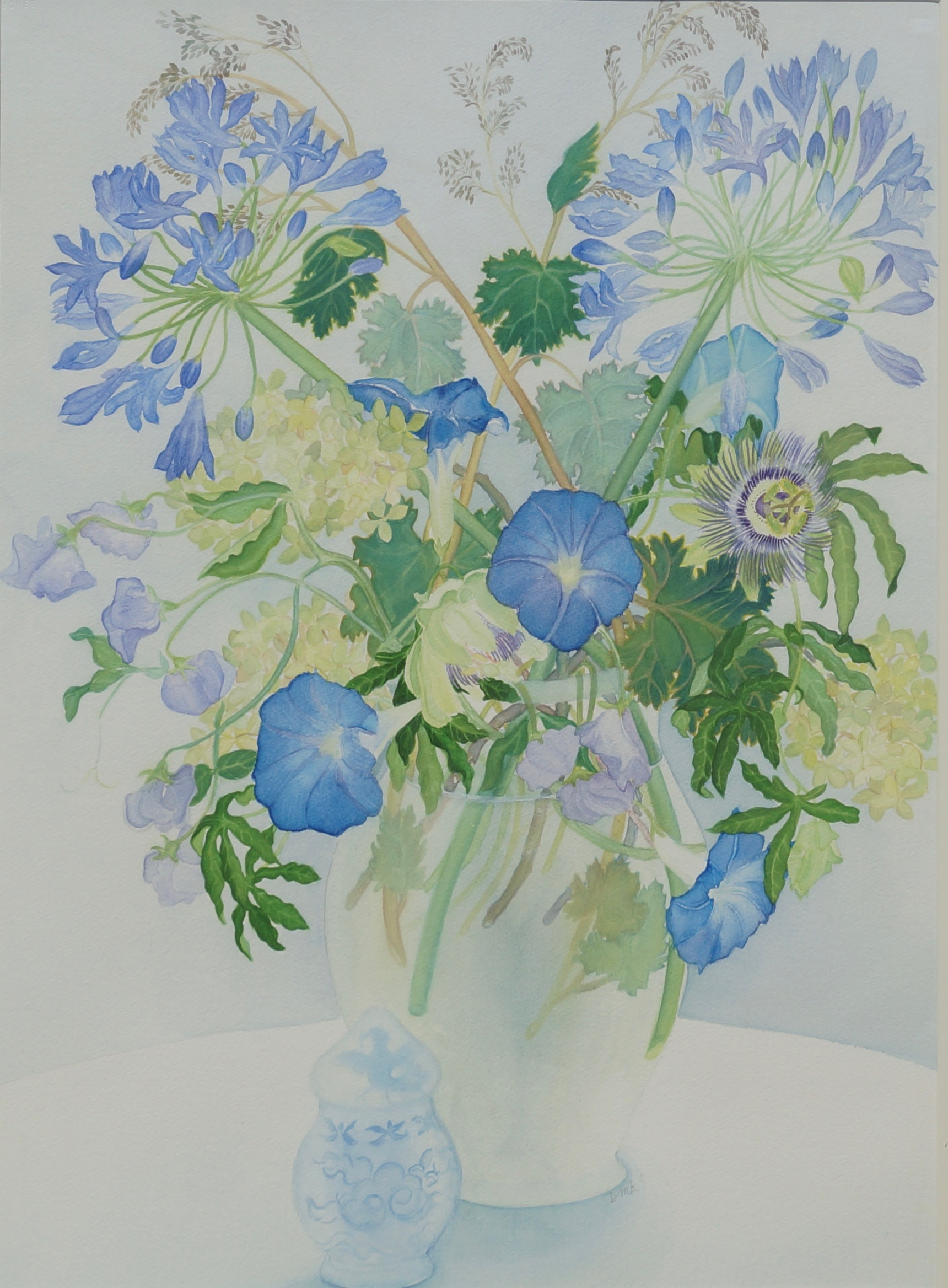 Lilies of the Nile, Morning Glories