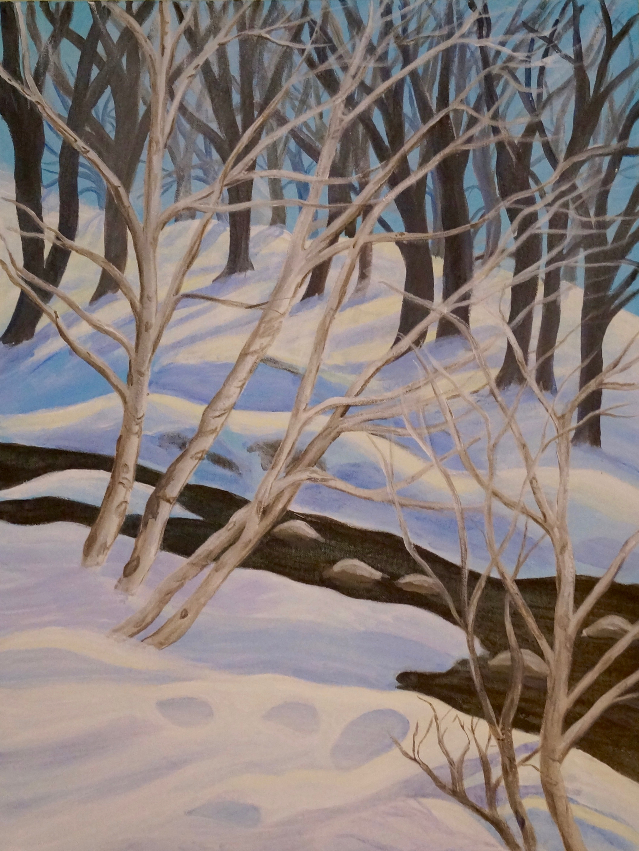 Snowy Day in Brookside