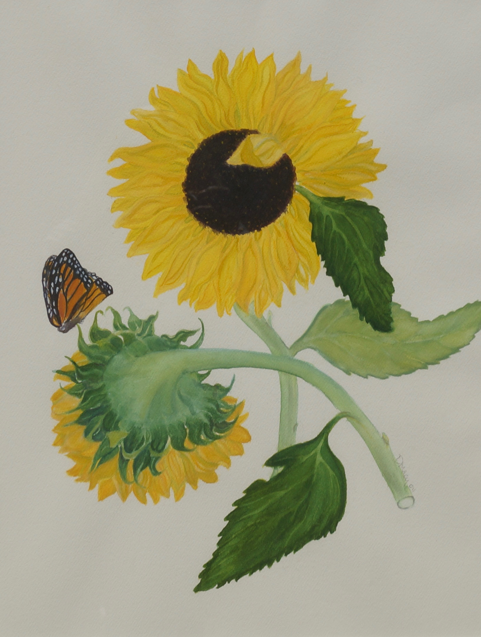 Sunflowers with Monarch
