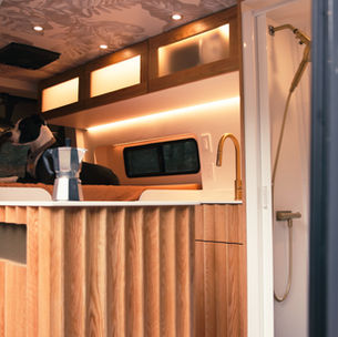 dog inside of a luxury camper van