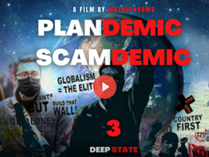 PLANDEMIC / SCAMDEMIC 3 - Deep State - Great Reset