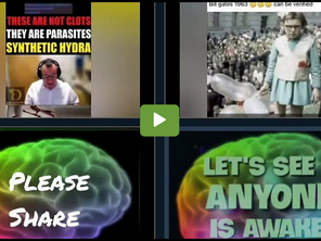 PUR EVIL: BILL GATES