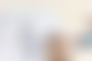 私の大好きないきもの～鰭脚類～