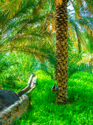 Stay safe and comfortable in Oman