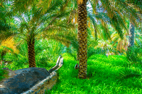 Stay safe and comfortable in Oman