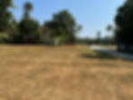View1