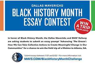 mavs essay.jpg