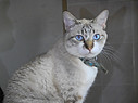 DSCN6570.JPG