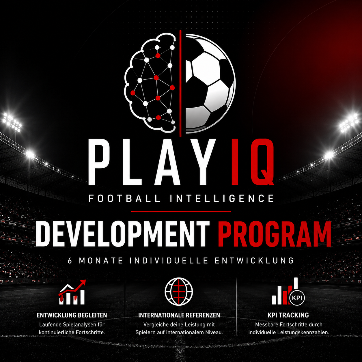 Development Program (6 Monate)