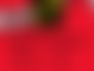 Spotify Unwrapped 2021: Mangled Carpenter and the year 'Under The Shadow'