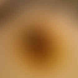 Échine de porc restaurant Capsule Paris 14