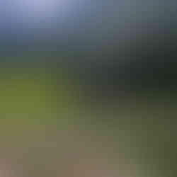 Hotel Moulin Cambelong rivière Aveyron