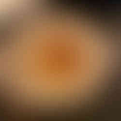 Ile flottante restaurant Capsule Paris 14