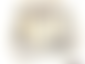 comptoir de la traboule paris 7ème