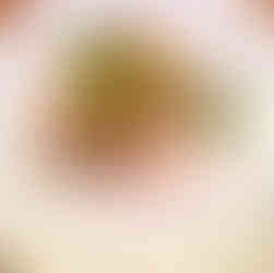 Carpaccio Ida Restaurant Paris