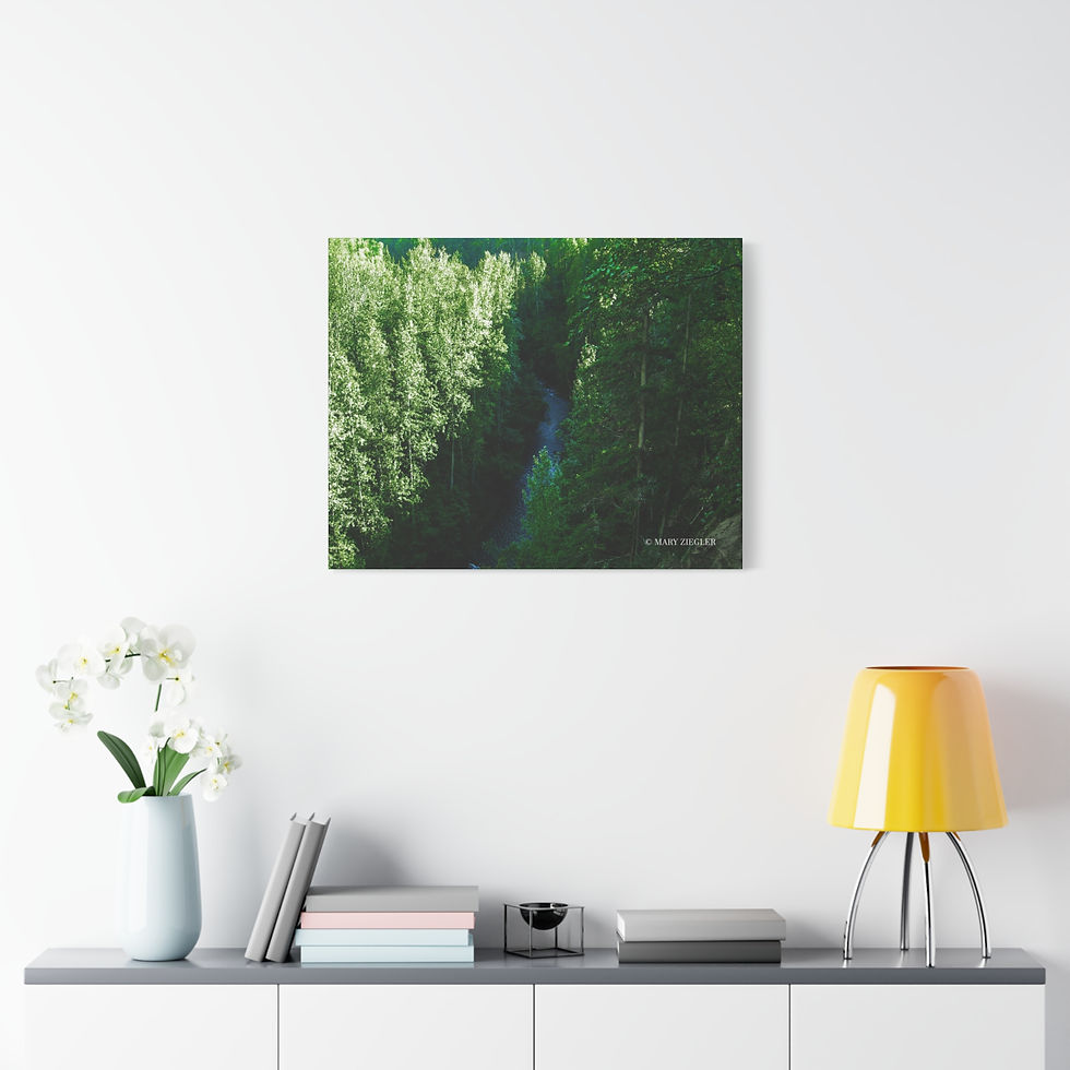 Thumbnail: "Emerald Stream" Canvas Wrap, Thunder Falls Trail, Alaska