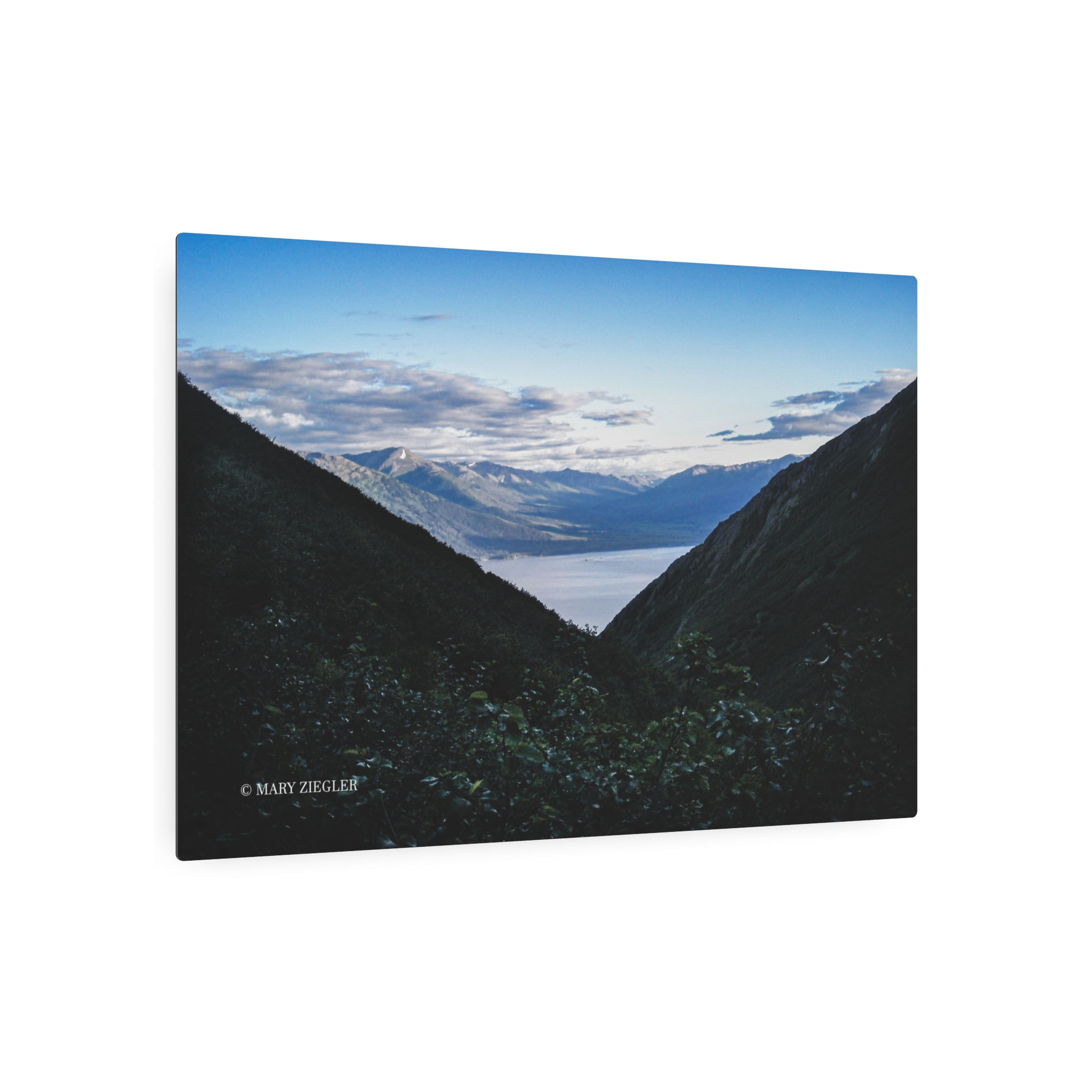 Awesome 3V View Metal Art Sign