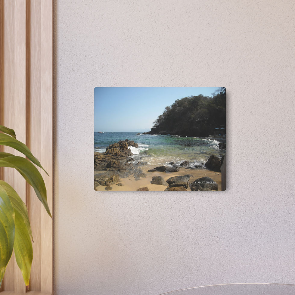 Thumbnail: "Sea Side" Metal Print, Vallarta, Mexico