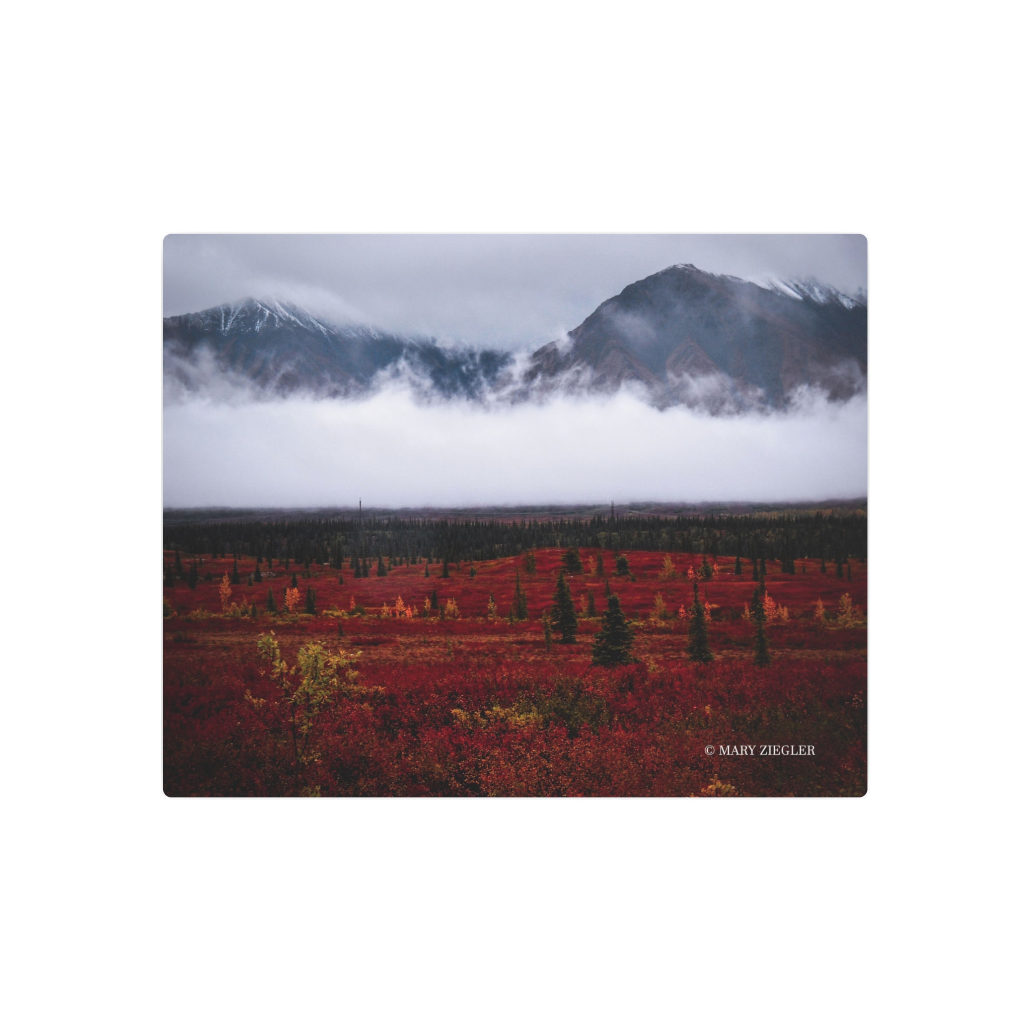 "Mystic Fog" Metal Print, Denali National Park, Alaska