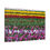 Thumbnail: Bright Colors beyond the Horizon Canvas Wrap