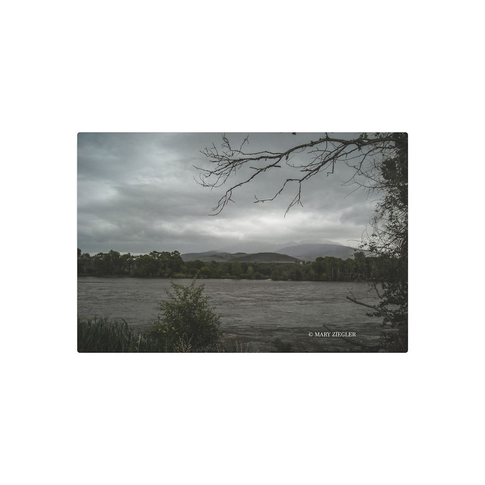 Thumbnail: "Lightning Bolt Limbs" Metal Print, Lake Superior North Shore, Minnesota