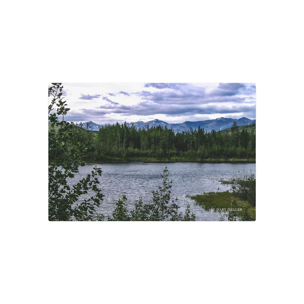 Thumbnail: Stillwater Pines Metal Print