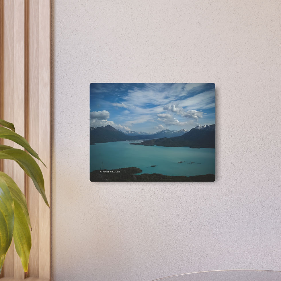 Thumbnail: "Tranquility" Metal Print, Kenai Fjords National Park, Alaska