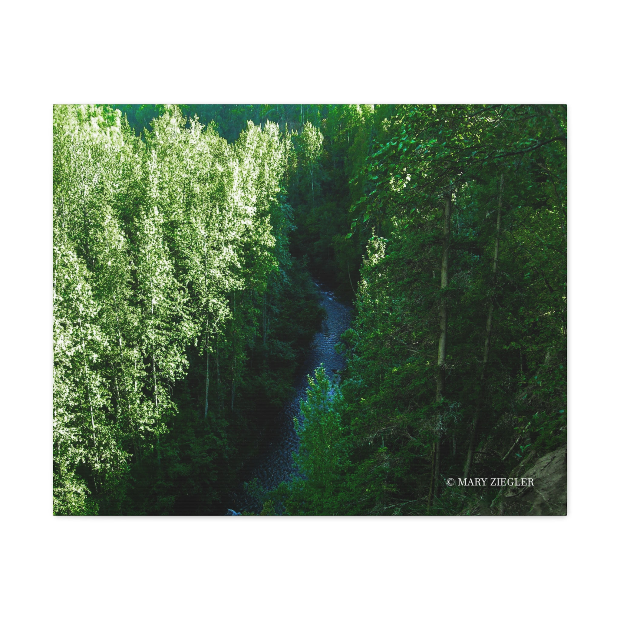 "Greenwood Stream" Canvas Wrap, Thunder Falls Trail, Alaska
