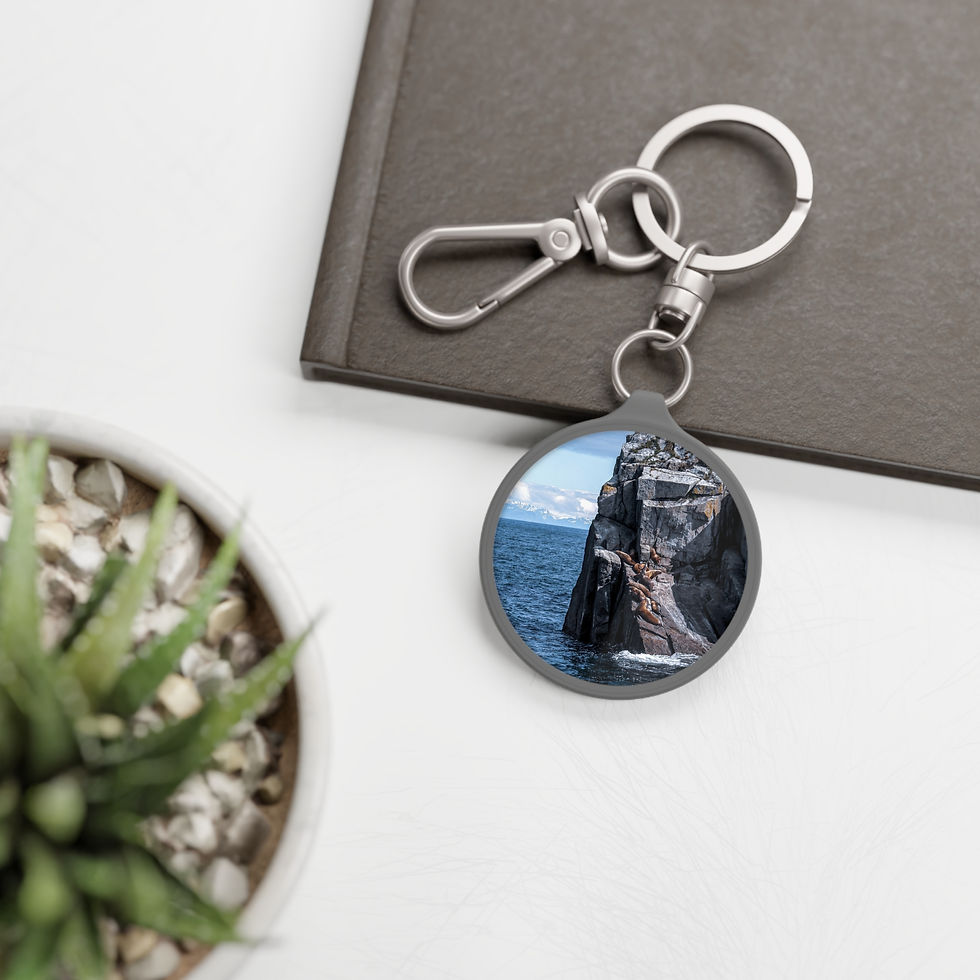 Thumbnail: Seals on The Bay Keychain / Key Tag