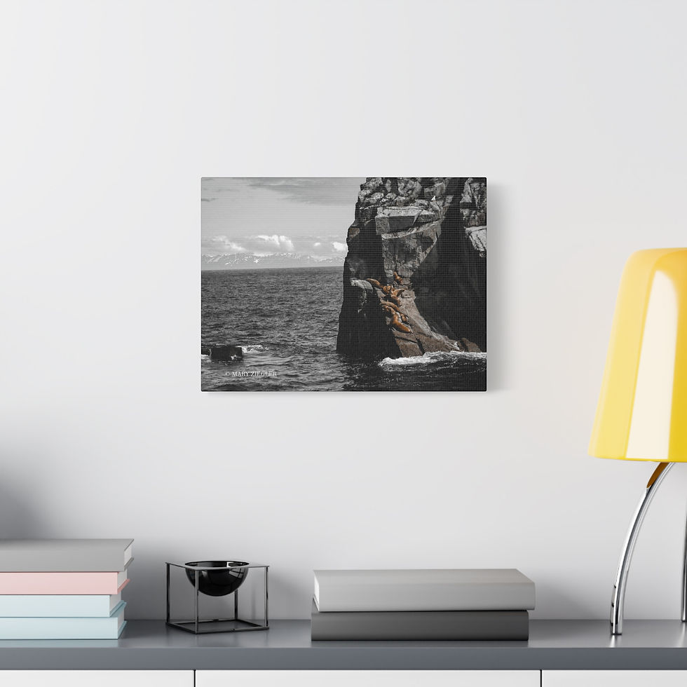 Thumbnail: "Seals on the Bay" - BNW Canvas Wrap, Resurrection Bay, Alaska