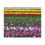 Thumbnail: Bright Colors beyond the Horizon Canvas Wrap