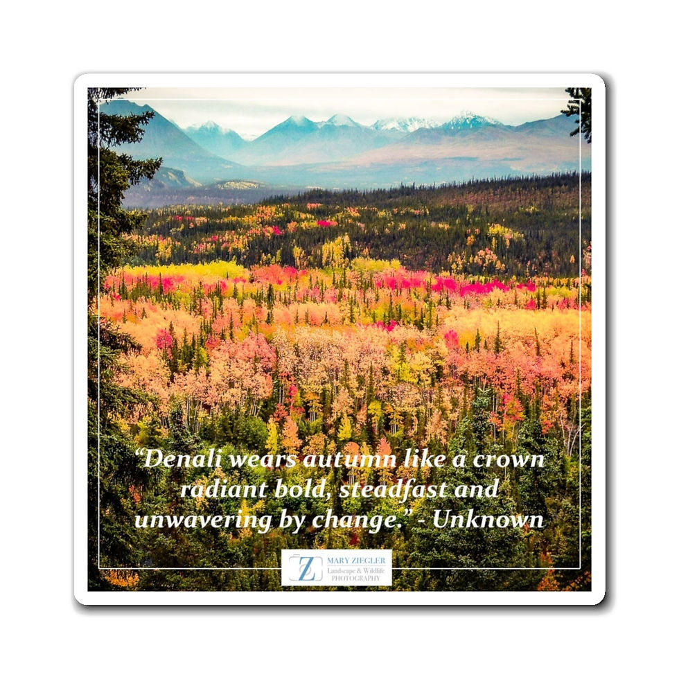 Thumbnail: Awe of Denali Quote Magnet