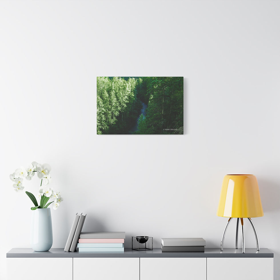 Thumbnail: "Emerald Stream" Canvas Wrap, Thunder Falls Trail, Alaska