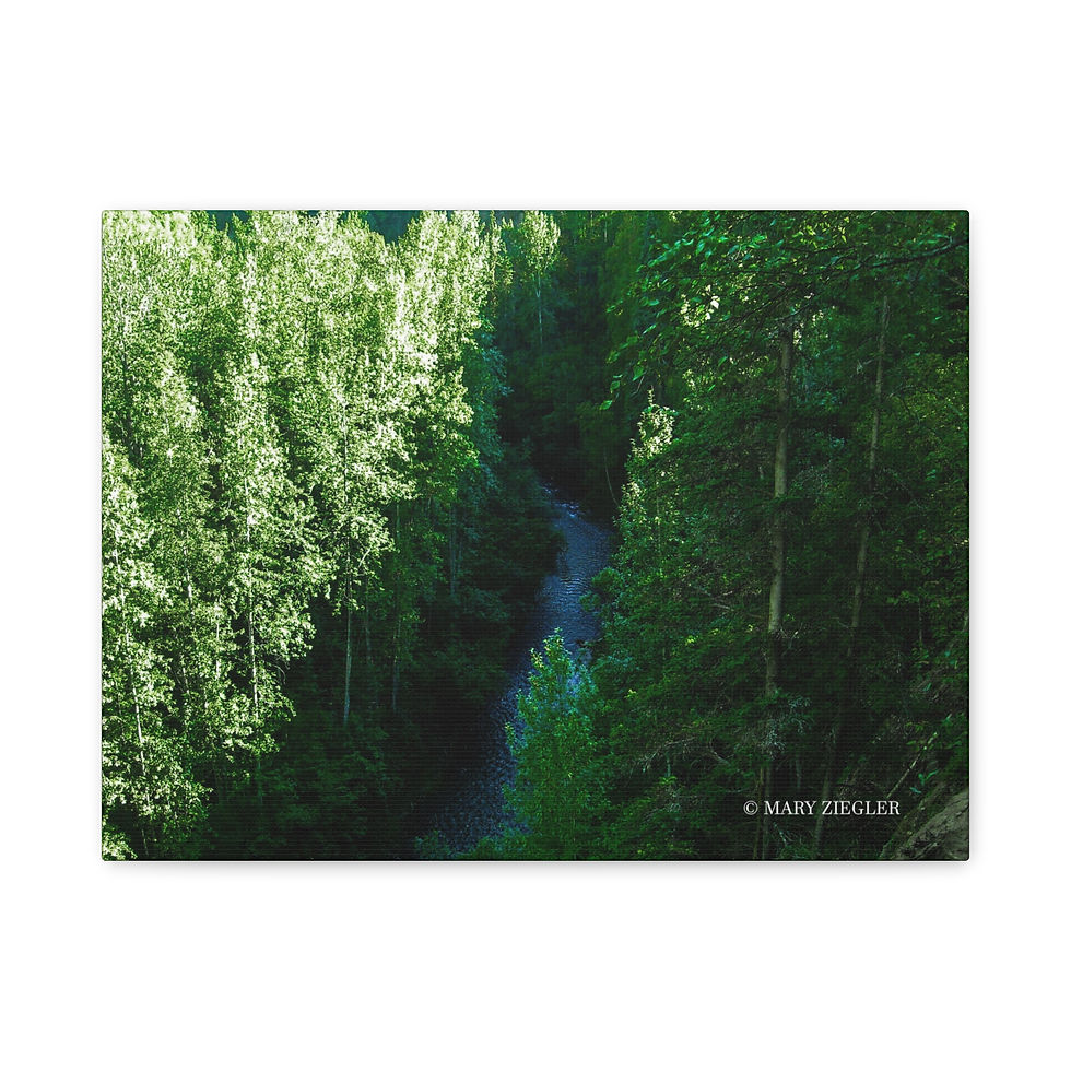 Thumbnail: "Emerald Stream" Canvas Wrap, Thunder Falls Trail, Alaska