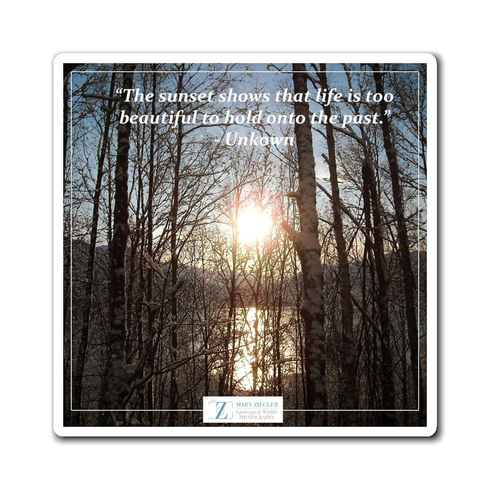 Thumbnail: Promise of Dawn Quote Magnet