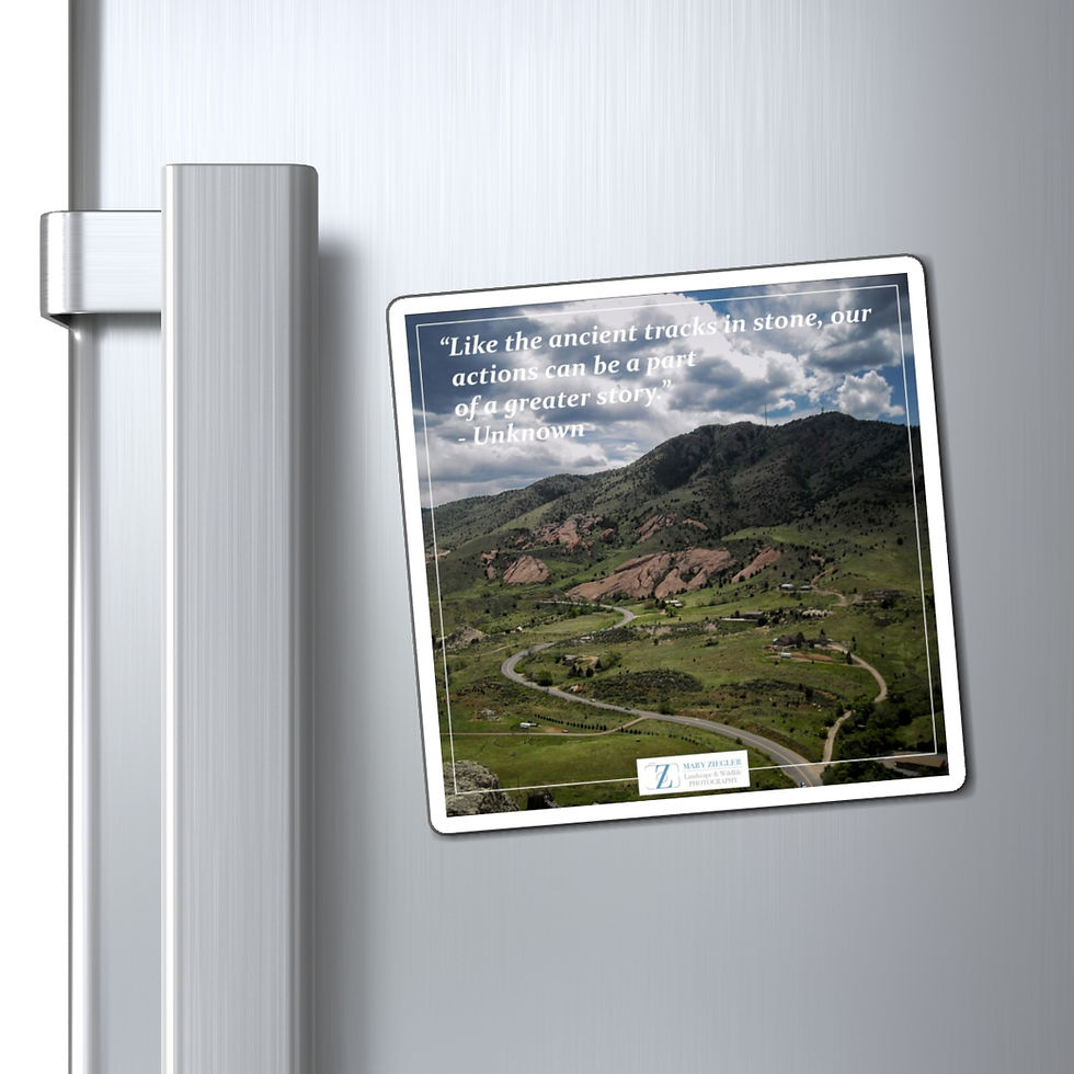 Thumbnail: Dinosaur Ridge Valley Quote Magnet