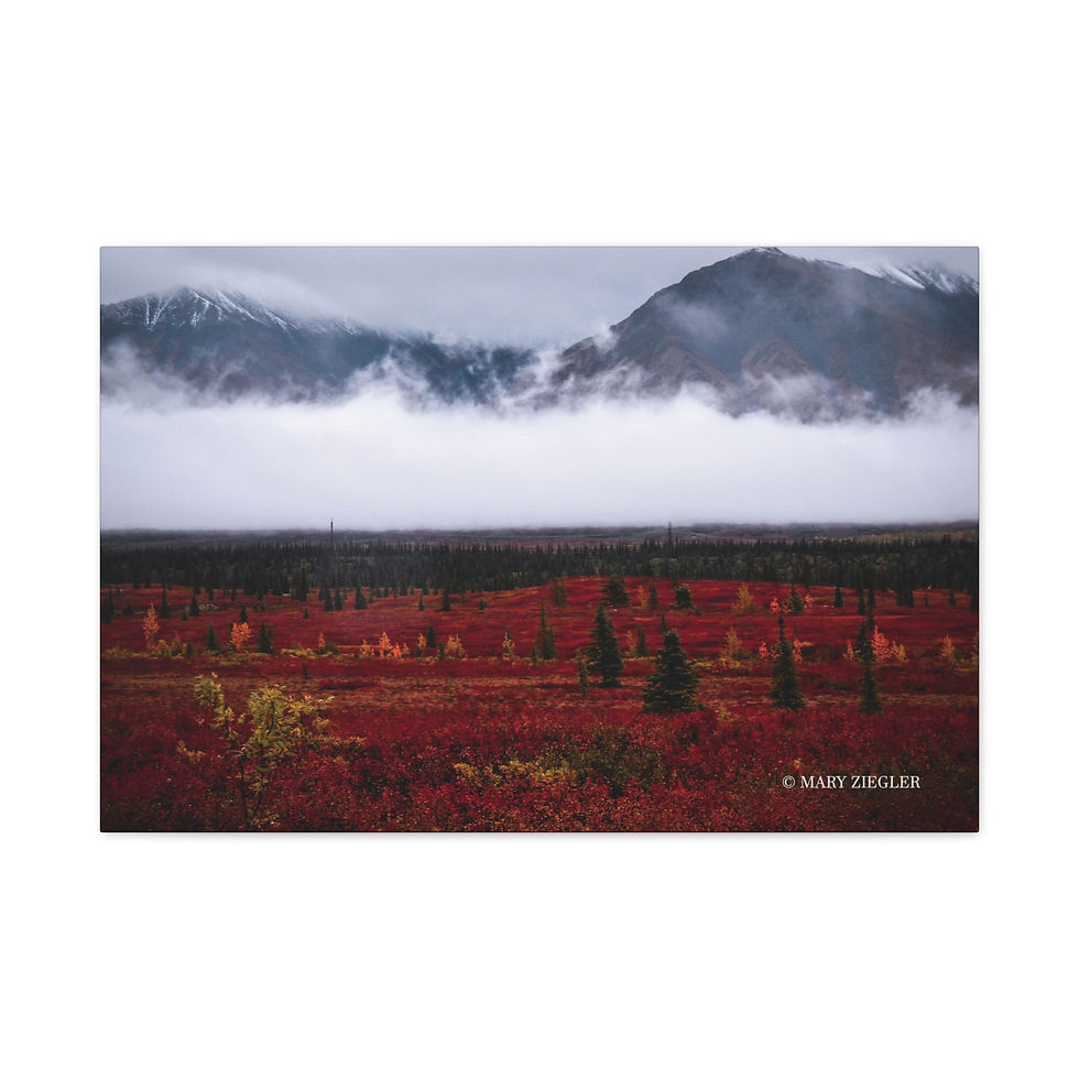 Thumbnail: "Mystic Fog" Canvas Wrap, Denali National Park, Alaska