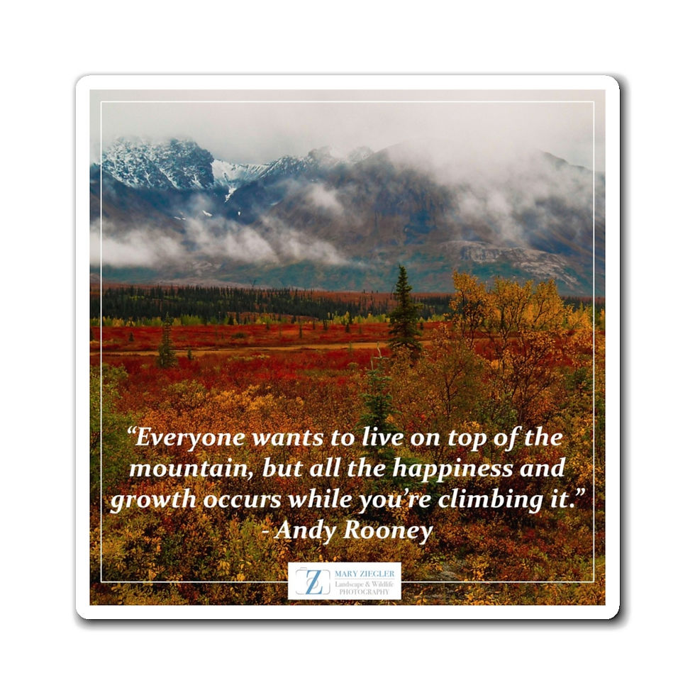 Thumbnail: Rich in Foliage Quote Magnet