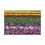 Thumbnail: Bright Colors beyond the Horizon Canvas Wrap