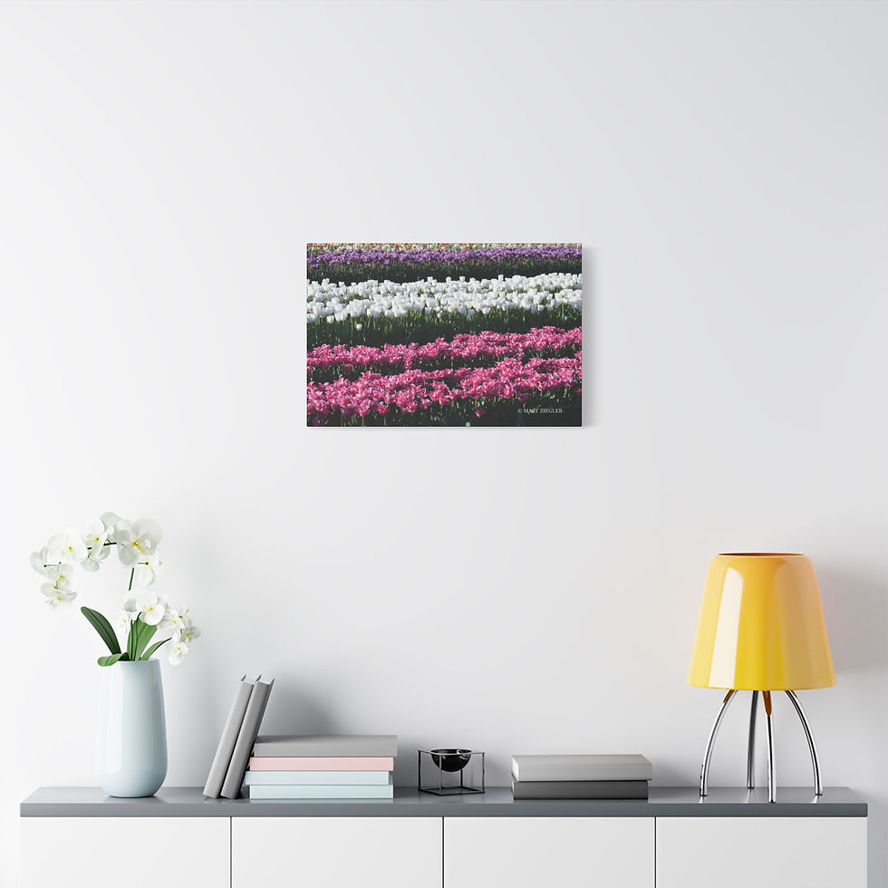 Thumbnail: "Blossoms Of Light" Canvas Wrap, Richardson's Farm, Spring Grove, Illinois