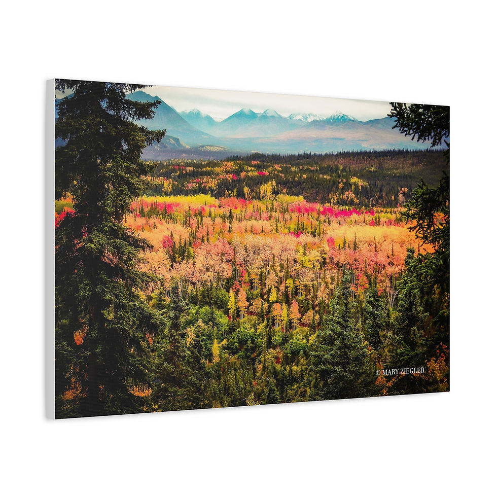 Thumbnail: "Awe of Denali" Canvas, Denali National Park, Alaska