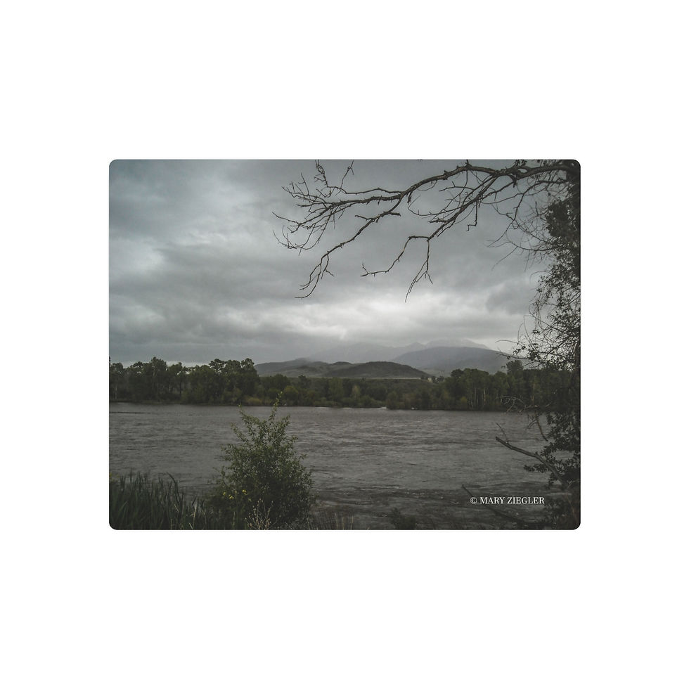 Thumbnail: "Lightning Bolt Limbs" Metal Print, Lake Superior North Shore, Minnesota