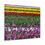 Thumbnail: Bright Colors beyond the Horizon Canvas Wrap
