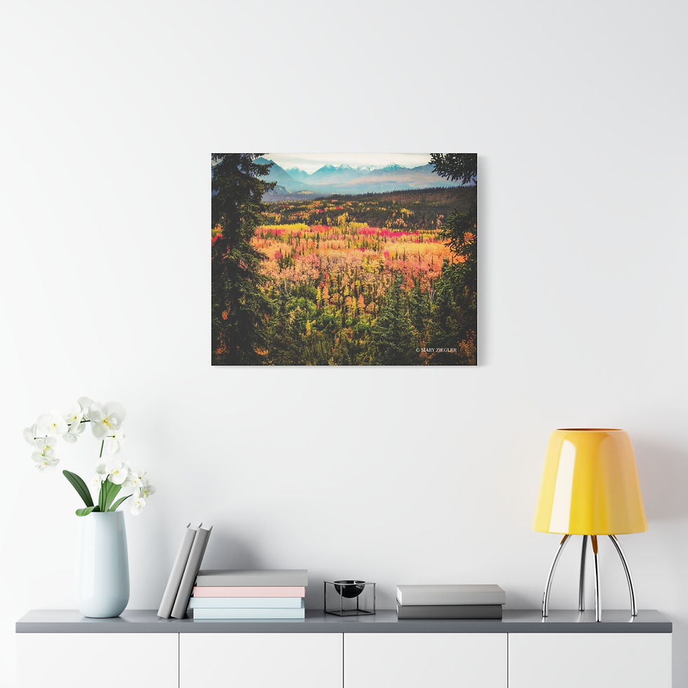 Thumbnail: "Awe of Denali" Canvas, Denali National Park, Alaska
