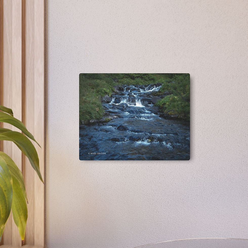 Thumbnail: "Rocky Waters" Metal Print, Hope, Alaska